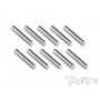 Spine Acciaio 2.5x15.8 (10pcs)