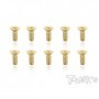 Viti Svasate 3x8 (10pcs)