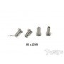 Mugen - Viti Titanio 4x10 per regolare altezza