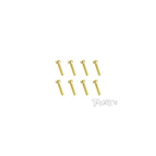 Viti Brugola 3x20 (8pcs)