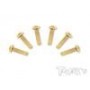 Viti Brugola Testa Tonda 4x16  (6pcs)