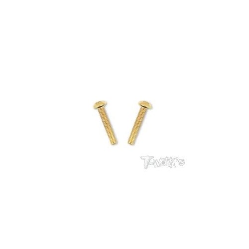 Viti Brugola Testa Tonda 4x22 (2pcs)