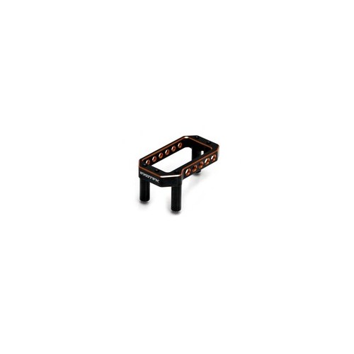Supporto Servo E819/RS