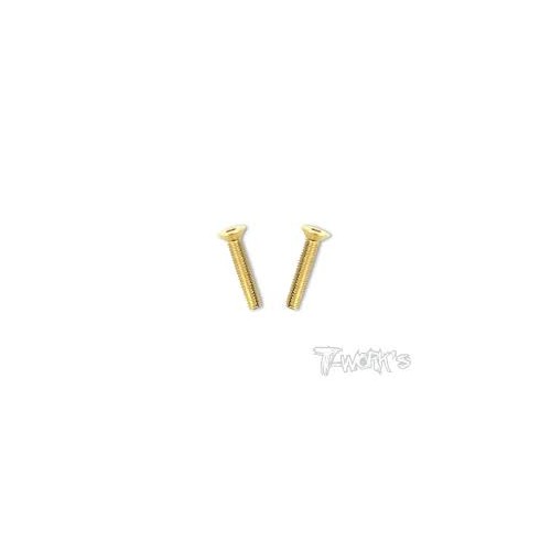 Viti Svasate 4x25 (2pcs)