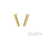 Viti Svasate 4x25 (2pcs)